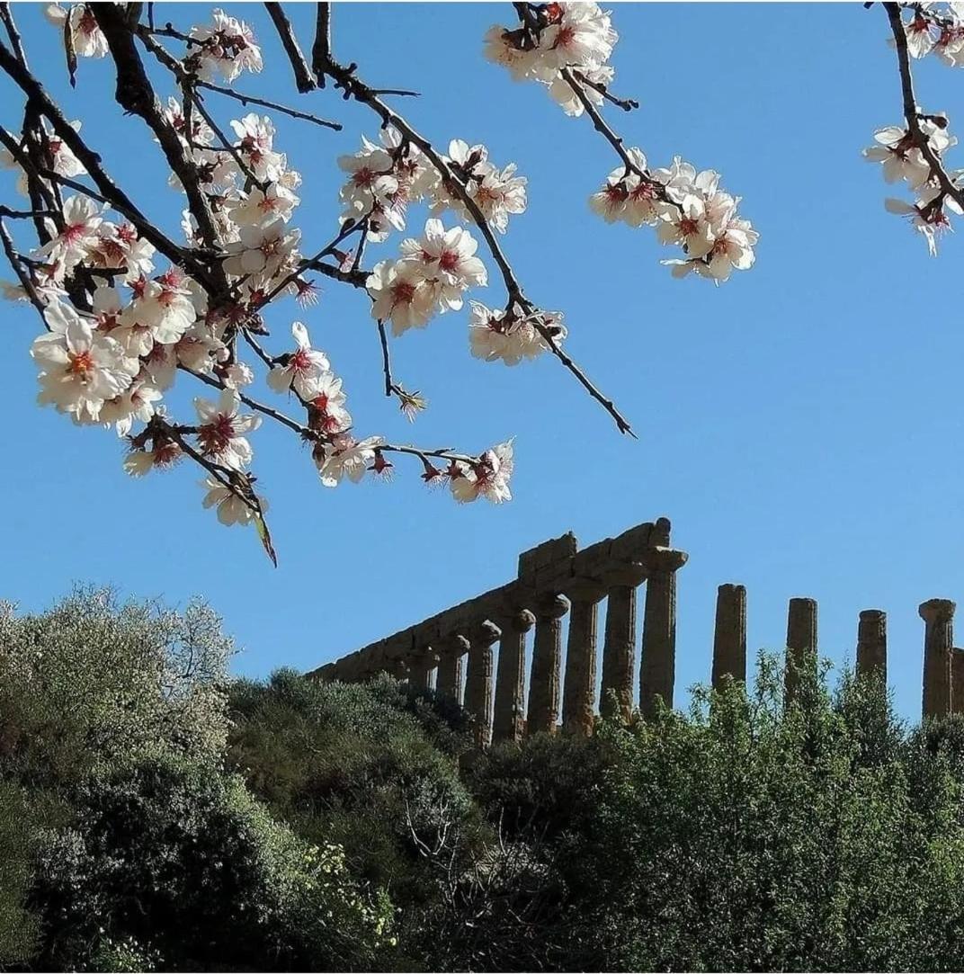 B&B Giunone Agrigento Room photo